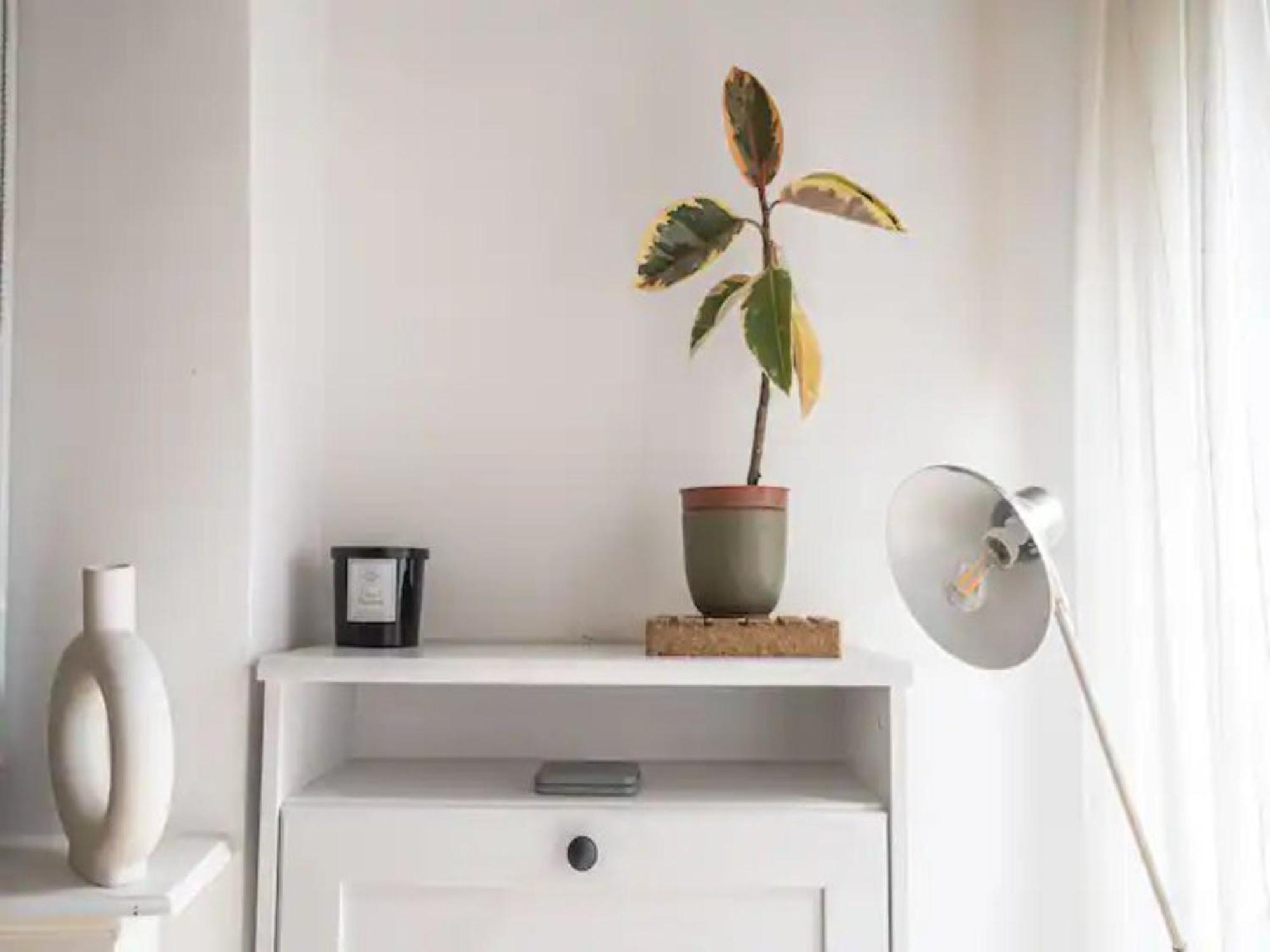 Pass The Keys Hither Ground Floor Flat With Garden * London